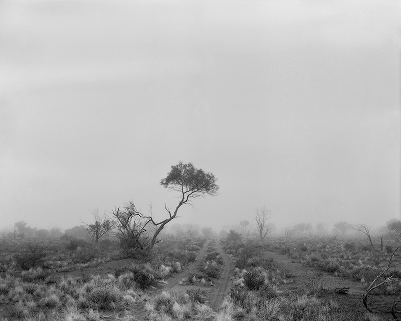 Black Mist Burnt Country: Testing the Bomb. Maralinga and Australian Art - blog post image